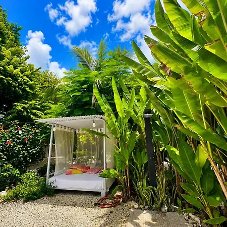 Cabanas Lamaite